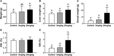 Effects of 11-Ketotestosterone on Development of the Previtellogenic Ovary in the Sterlet, Acipenser ruthenus